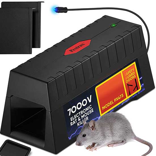 10 Best Rat Traps in 2020 - According to an Exterminator